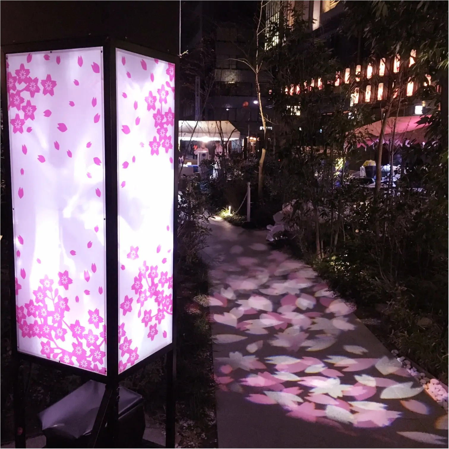 【日本橋桜フェスティバル2017】の【桜色ライトアップ】で一足早くお花見気分(*°○°*)♡_6