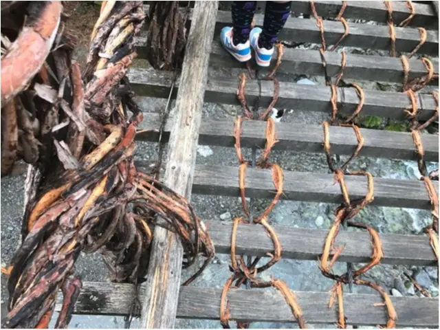 【一度は行きたい日本の絶景】徳島・祖谷のかずら橋_5