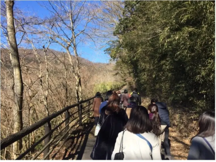 【TRIP】春の贅沢女子旅はこれ!星野リゾート界箱根「はこね春色女子旅プラン」_15