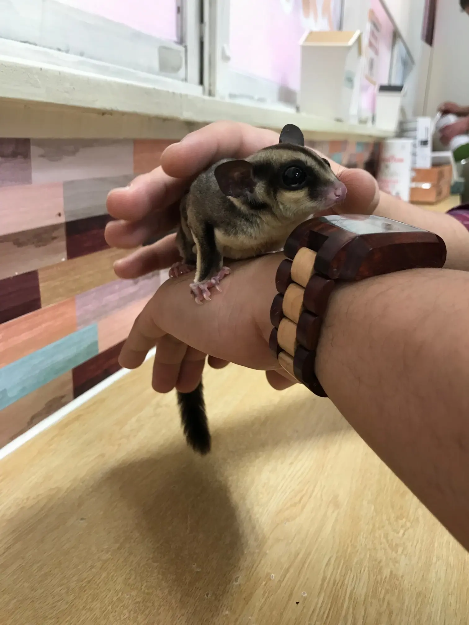 【池袋】コツメカワウソカフェに行ってきた!_1