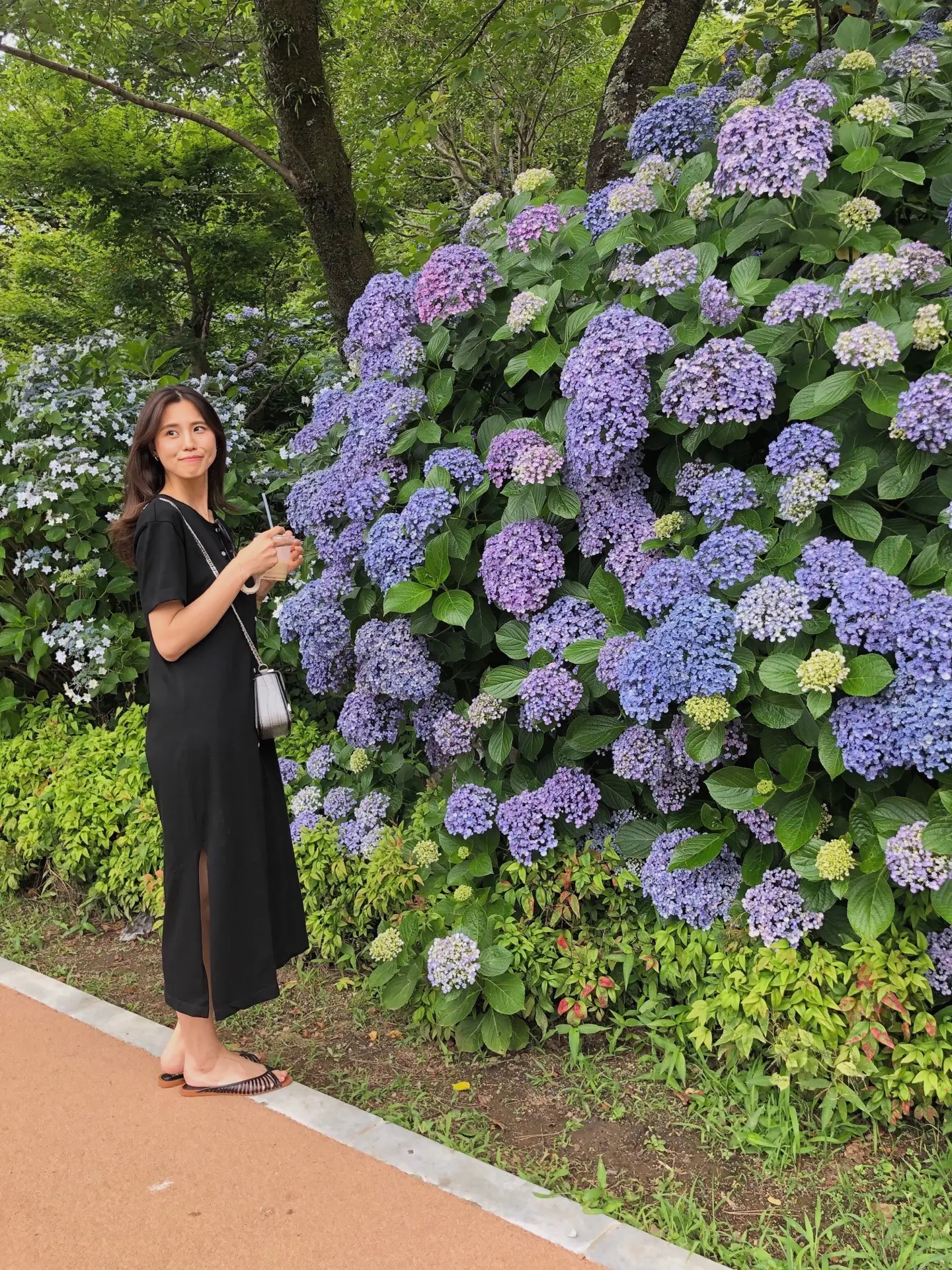 《日帰り小田原の旅》都内から1時間で行けちゃう日帰り旅行特集!_12