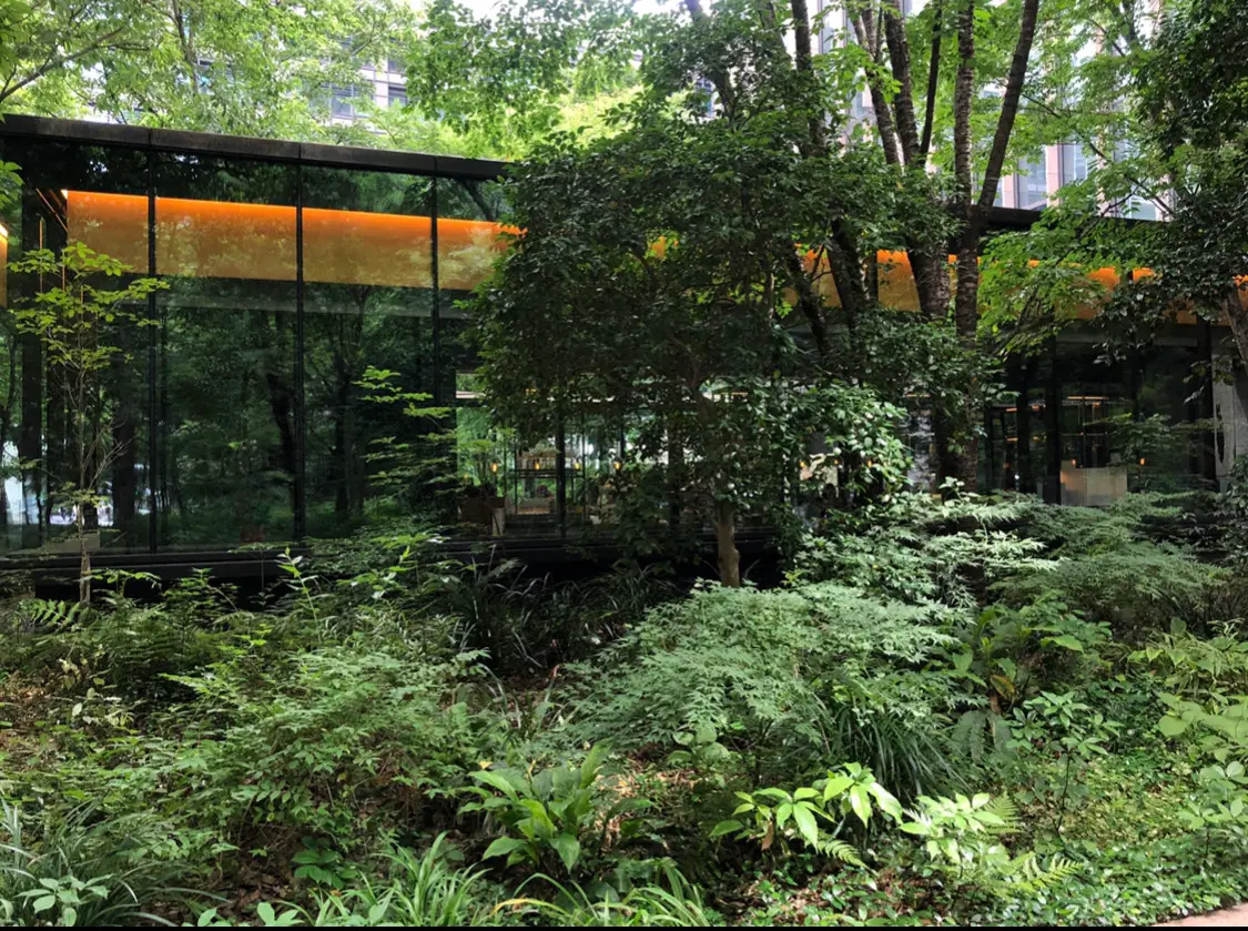 《涼しげテラスでアフタヌーンティー》大都会の中の大自然✨カフェタイム【ザ・カフェ by アマン(The Cafe by Aman)】_2