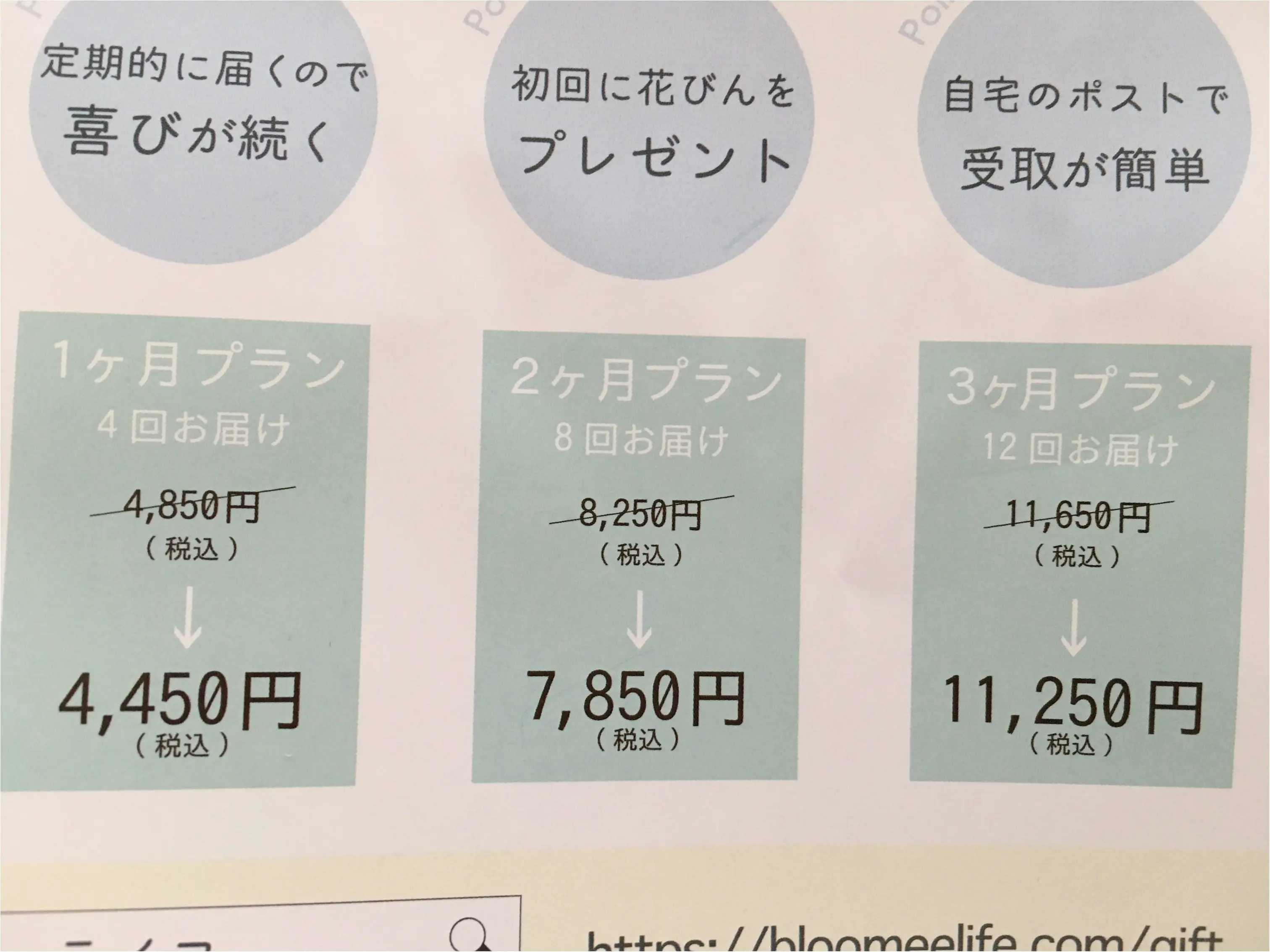 ★毎週ポストにお花が届く?!感謝の気持ちをワンコインのお花に込めて、大切なあの人に、贈り物はいかがですか??_3