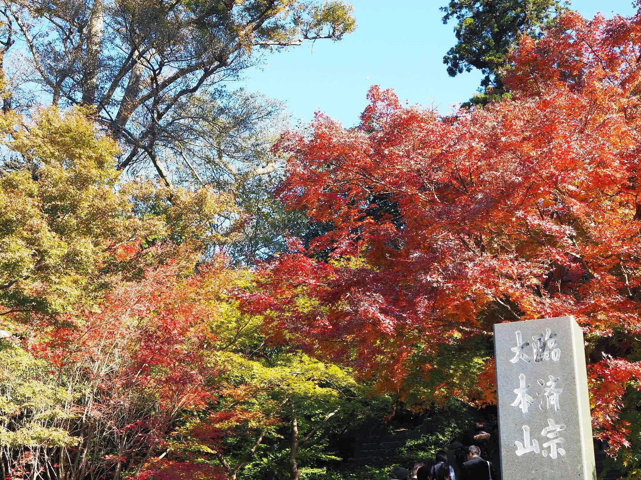 【#秋の鎌倉さんぽ】古民家でいただく絶品ビーフシチューと北鎌倉の紅葉♡_8