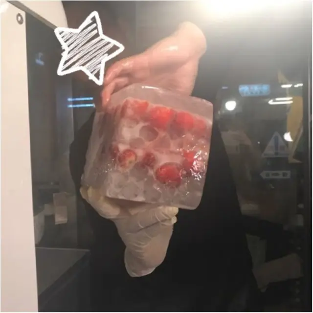 高知県発祥!【苺氷り(いちごおり)】夏に逸品の新感覚かき氷★_2