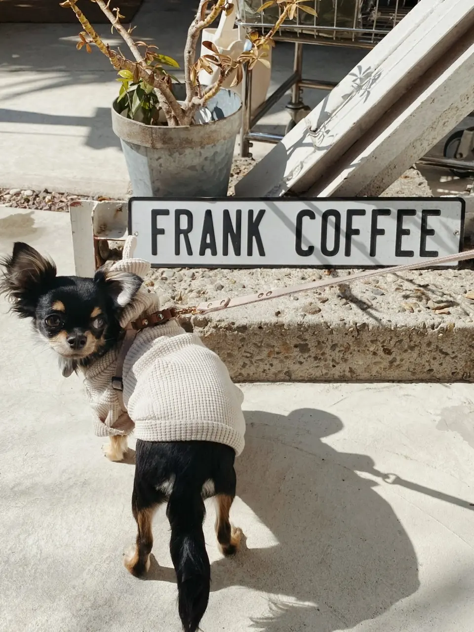 【FrankCoffee&Workshop】都内から行ける隠れ家的写真映えスポット_5