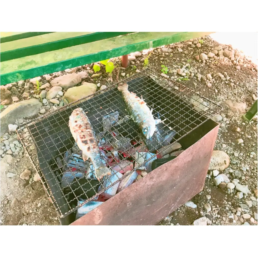 暑い夏は大自然で楽しむ!都心から2時間半で楽しめる《 マス釣り 》!!_3