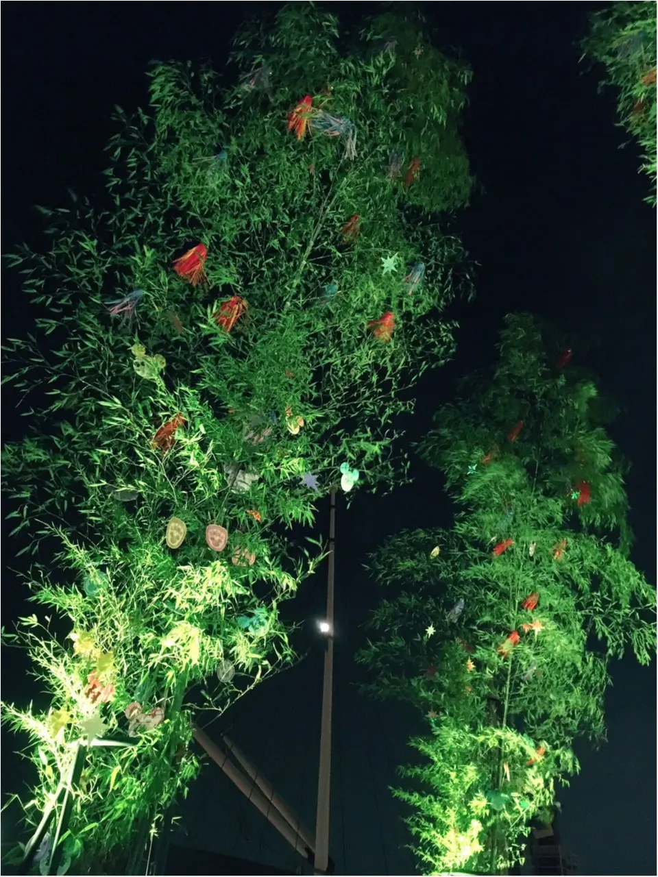 【七夕ディズニーシー】♡【3つの楽しみ方】_5