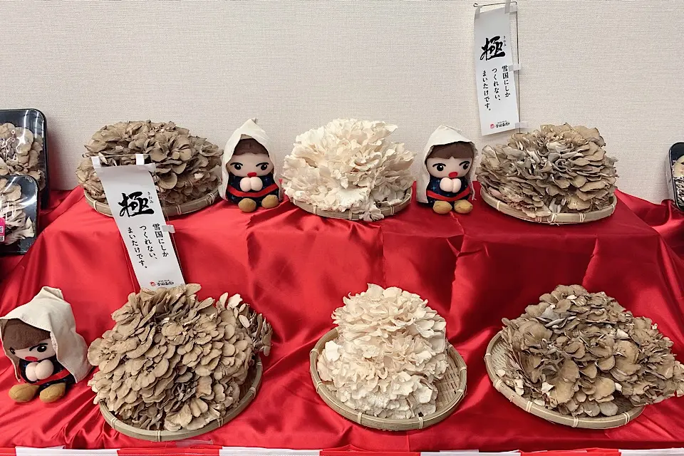 老け防止に効果絶大!美食生活に「まいたけ」が欠かせないワケ_1