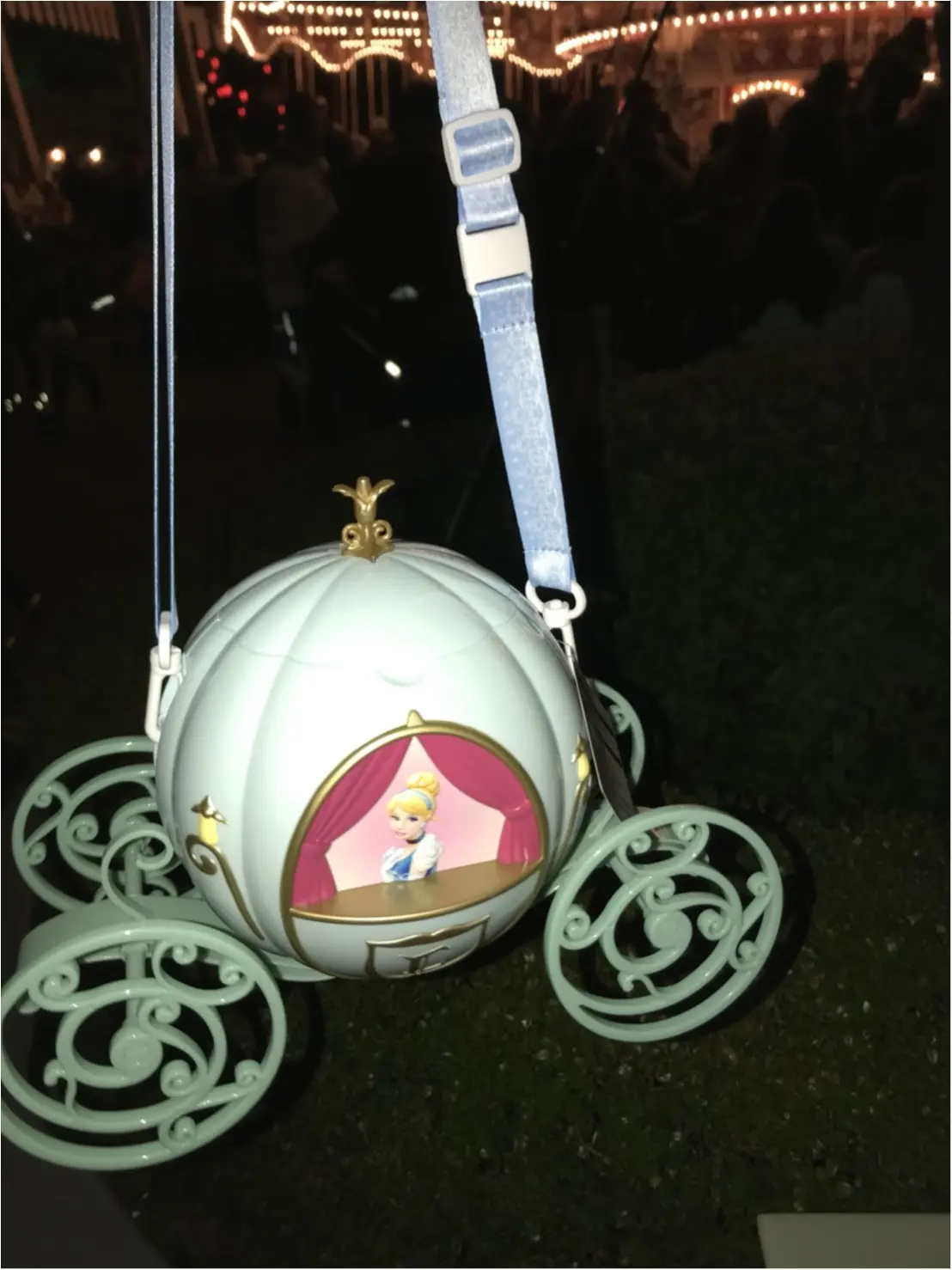 11月もディズニーランドに行ってきた!新しいポップコーンケースを求めて。_4