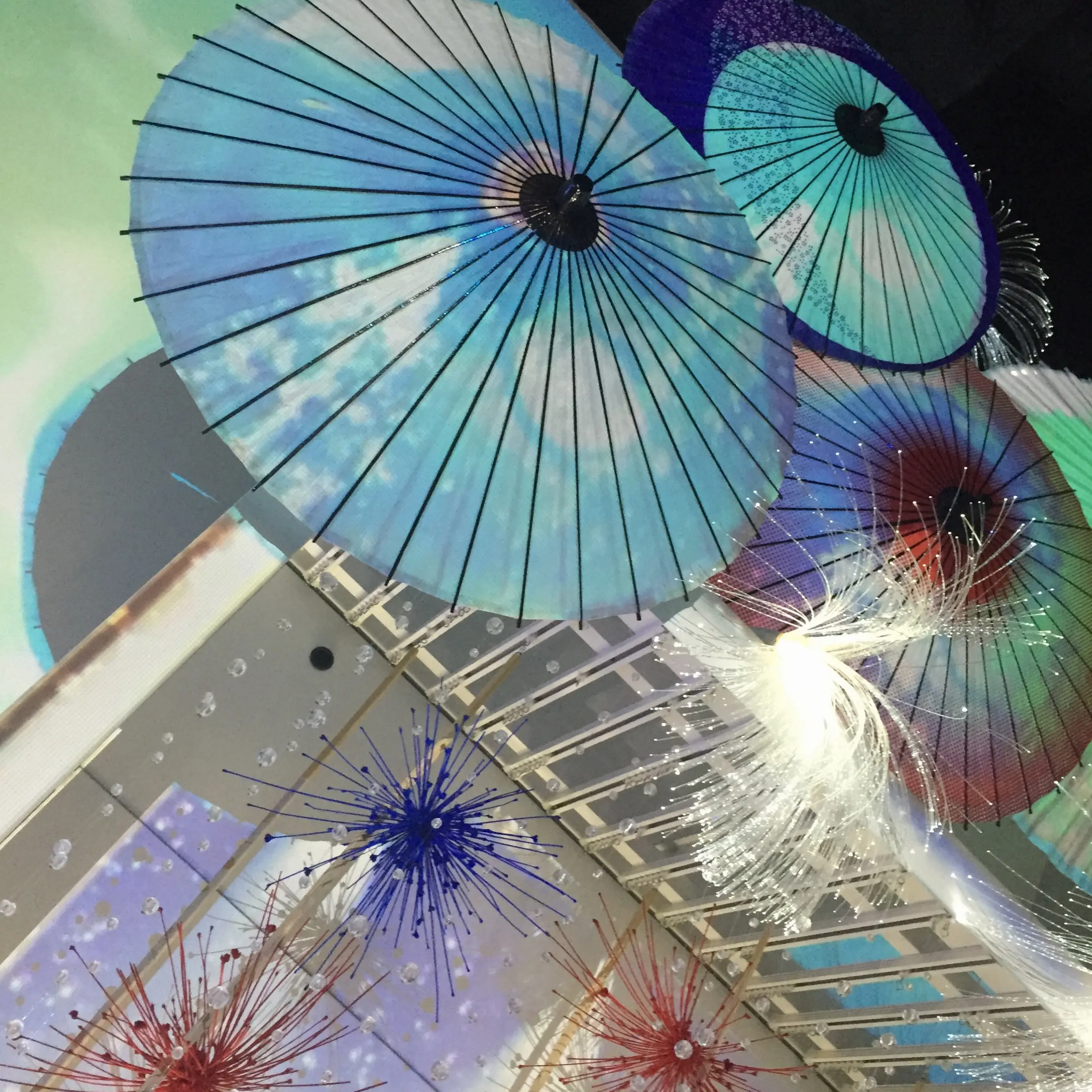 昼と夜でイルカショーが変わる!?光・音・映像と海の生き物のコラボレーション ✨《*アクアパーク品川*》の魅力☆★ _4