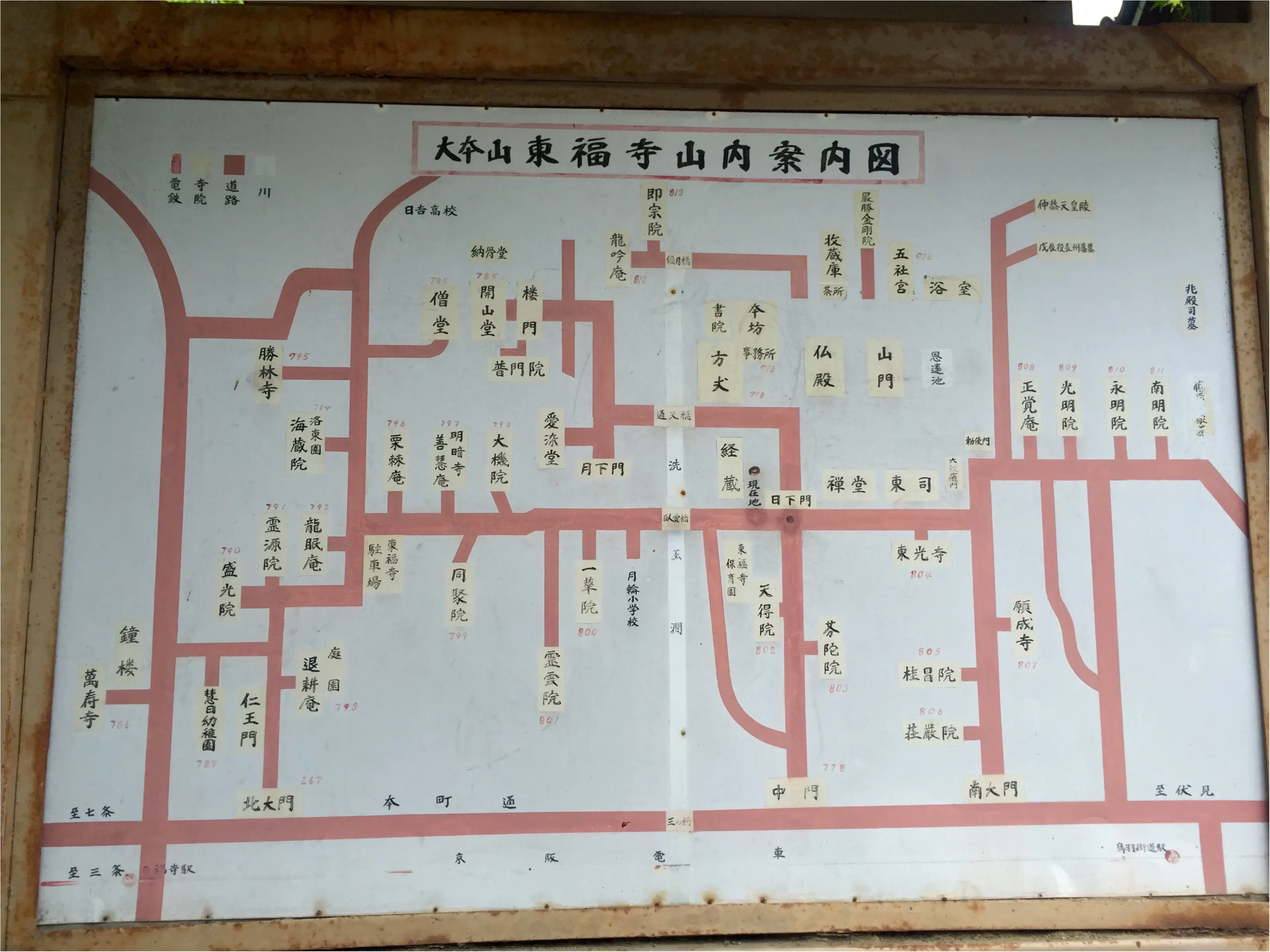 【京都】紫陽花を探しに東福寺へ、、思わぬ絶景に感動♡_2