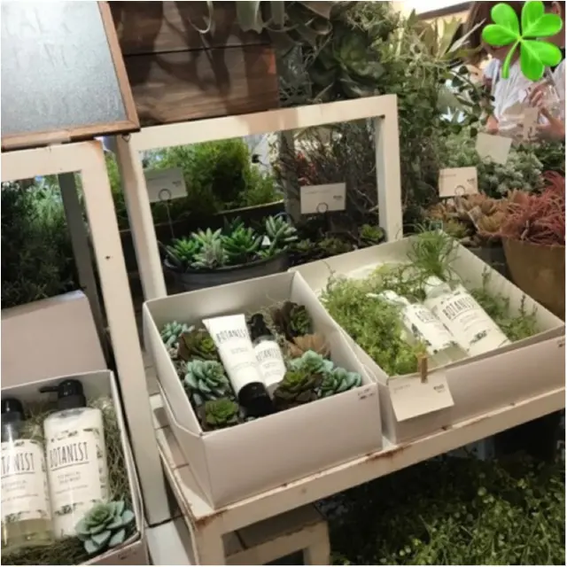【本日オープン!!】ボタニスト(BOTANIST)初の直営店が原宿に♡♡_6