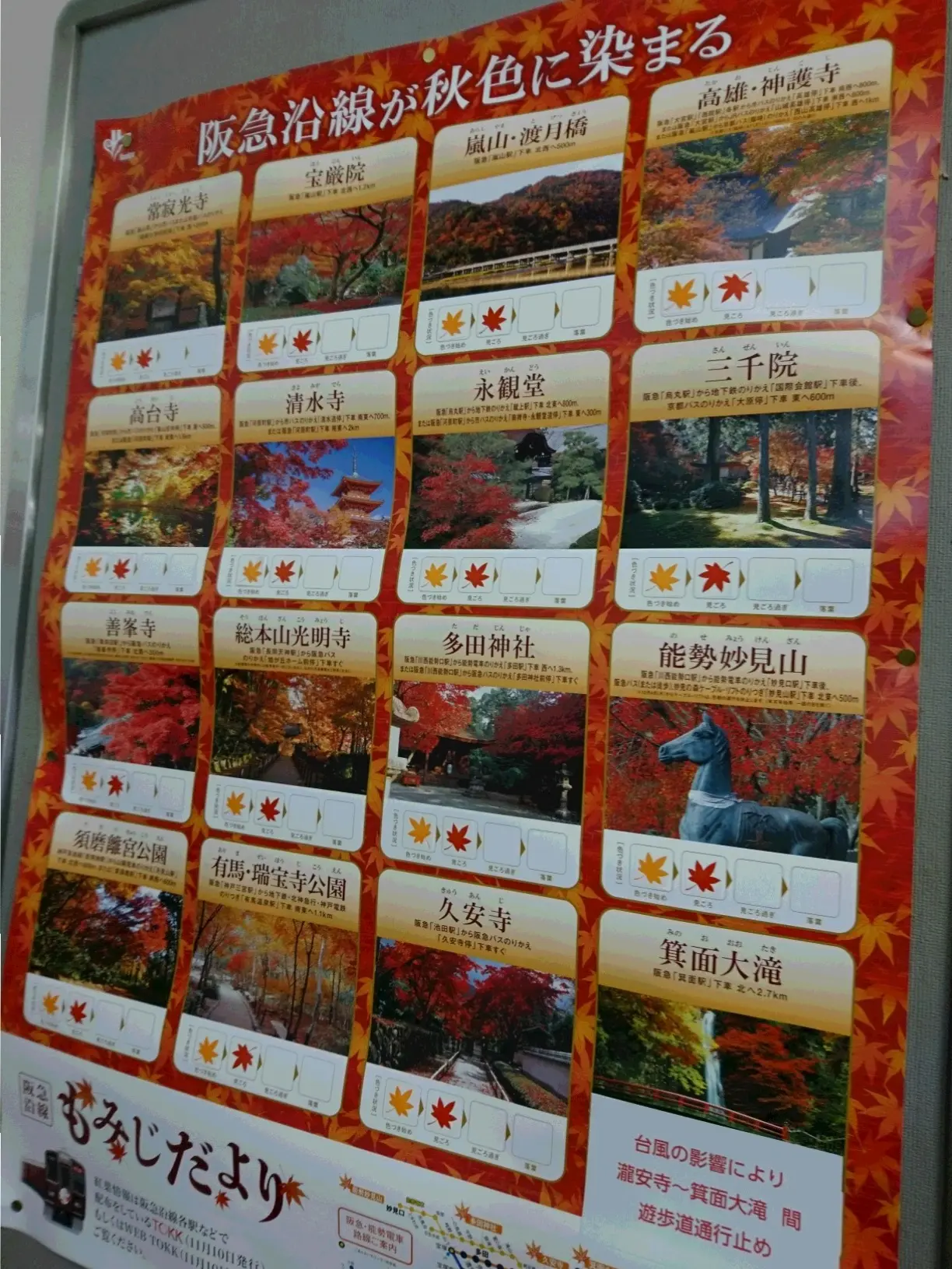関西のベスト紅葉スポット【京都・神戸・大阪】見ごろはこれで知る!!_1