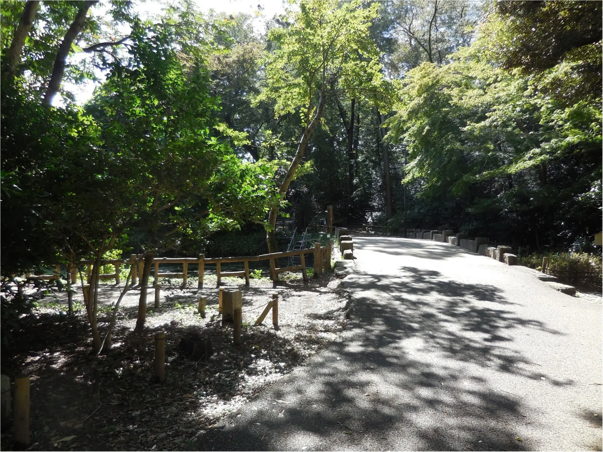【吉祥寺井の頭公園】ひさしぶりに歩いてきました_1