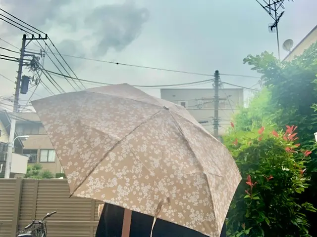 こんなの探してた♡超軽量&3秒でたためる今夏おすすめの折りたたみ傘_2