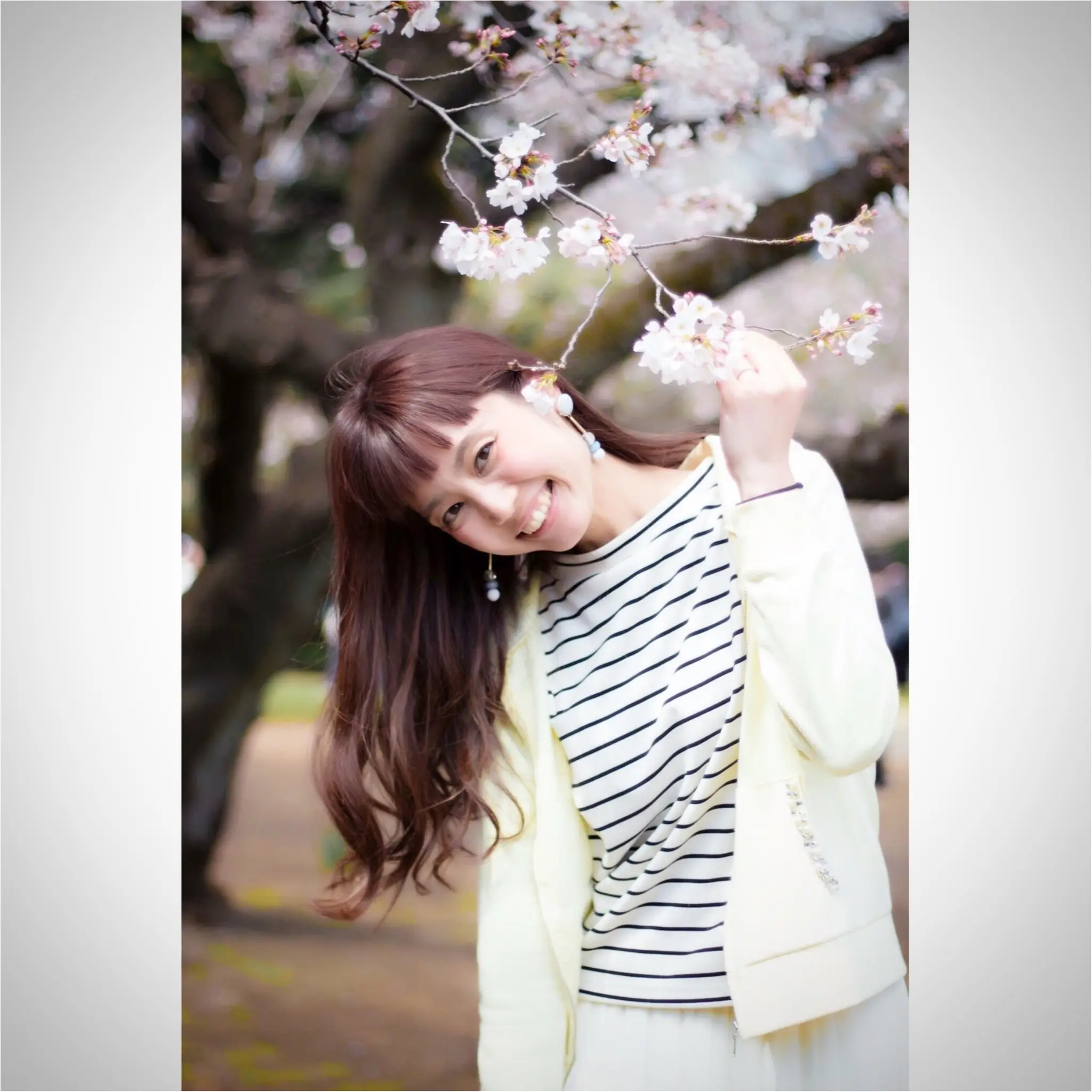 新宿御苑のお花見がゆっくりできるわけ★_3