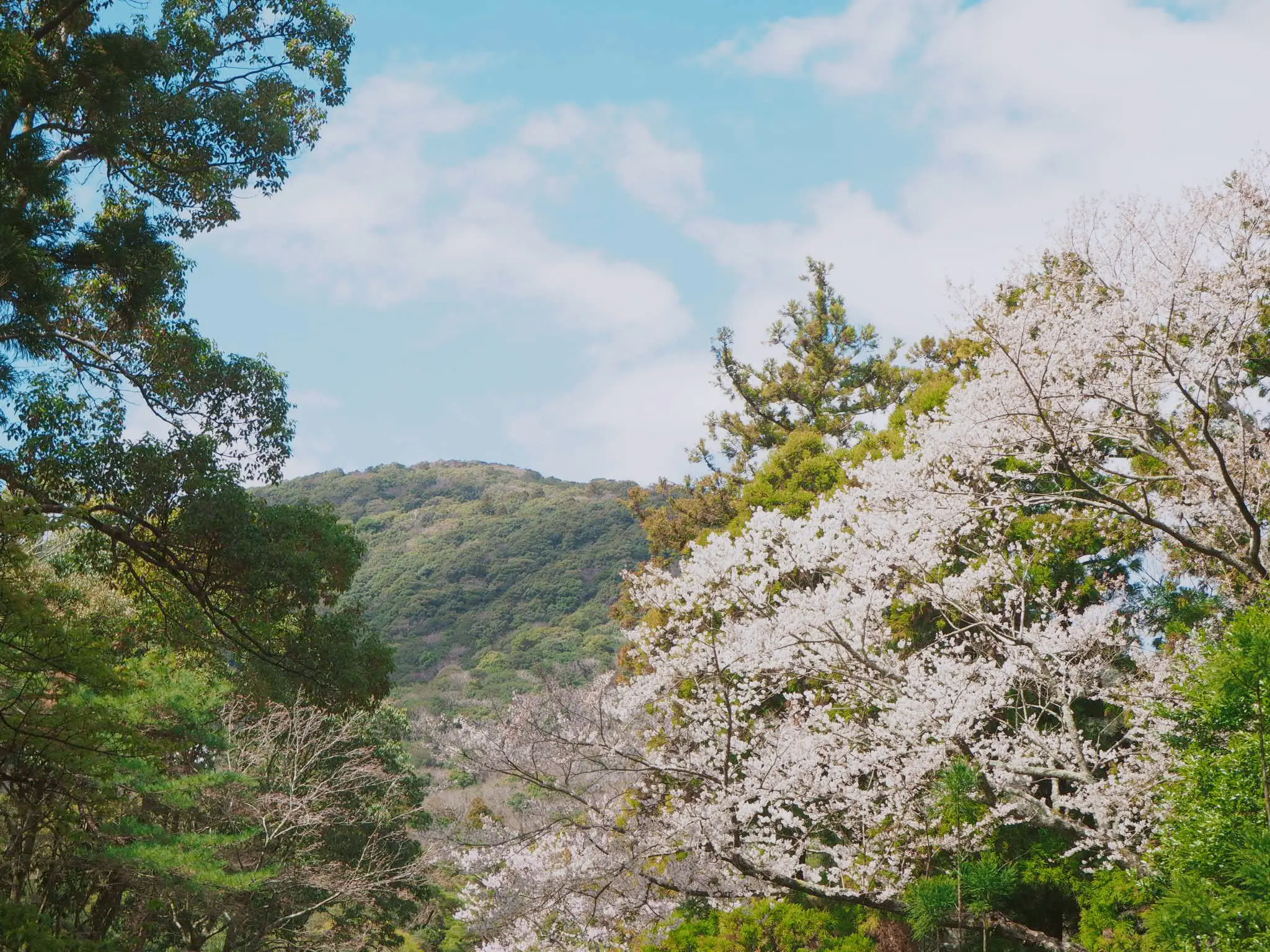 【女子旅におすすめ】一生に一度はお伊勢参り。三重県「伊勢神宮」で開運旅★_17
