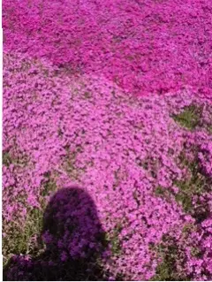 びっくり✨_1