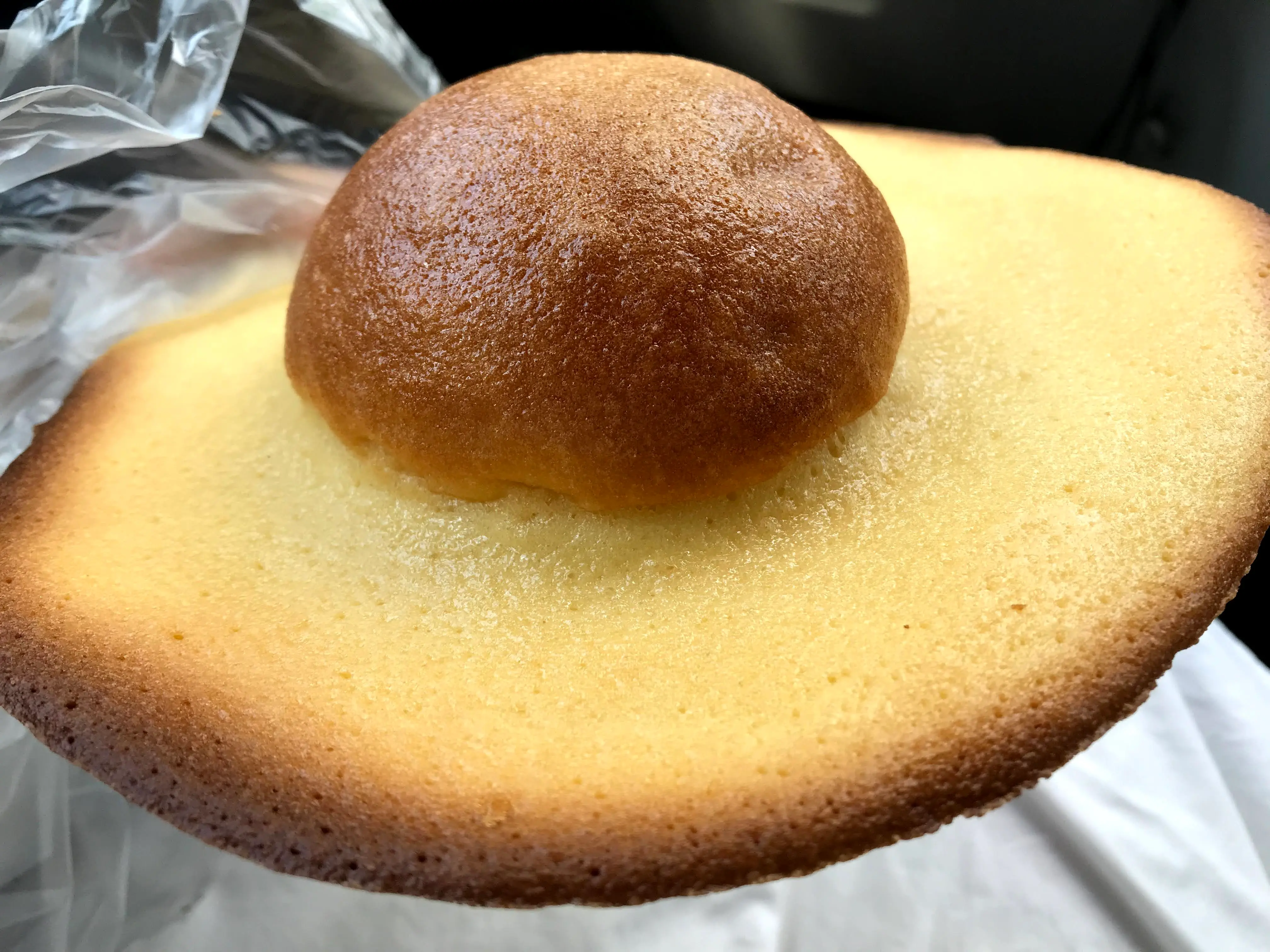 【高知県】行くならここ行くべき☝️おすすめスポットご紹介☺︎_3