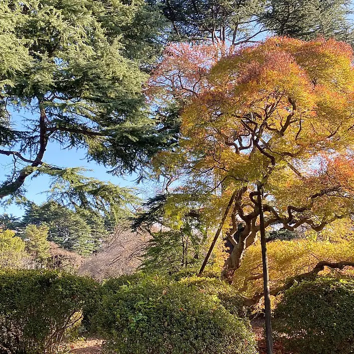 【新宿御苑】綺麗な景色でリフレッシュ_3