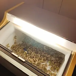 【いのちの移ろい展-碧南市藤井達吉近現代美術館】6/20(日)まで開催中!観覧料は無料!_8