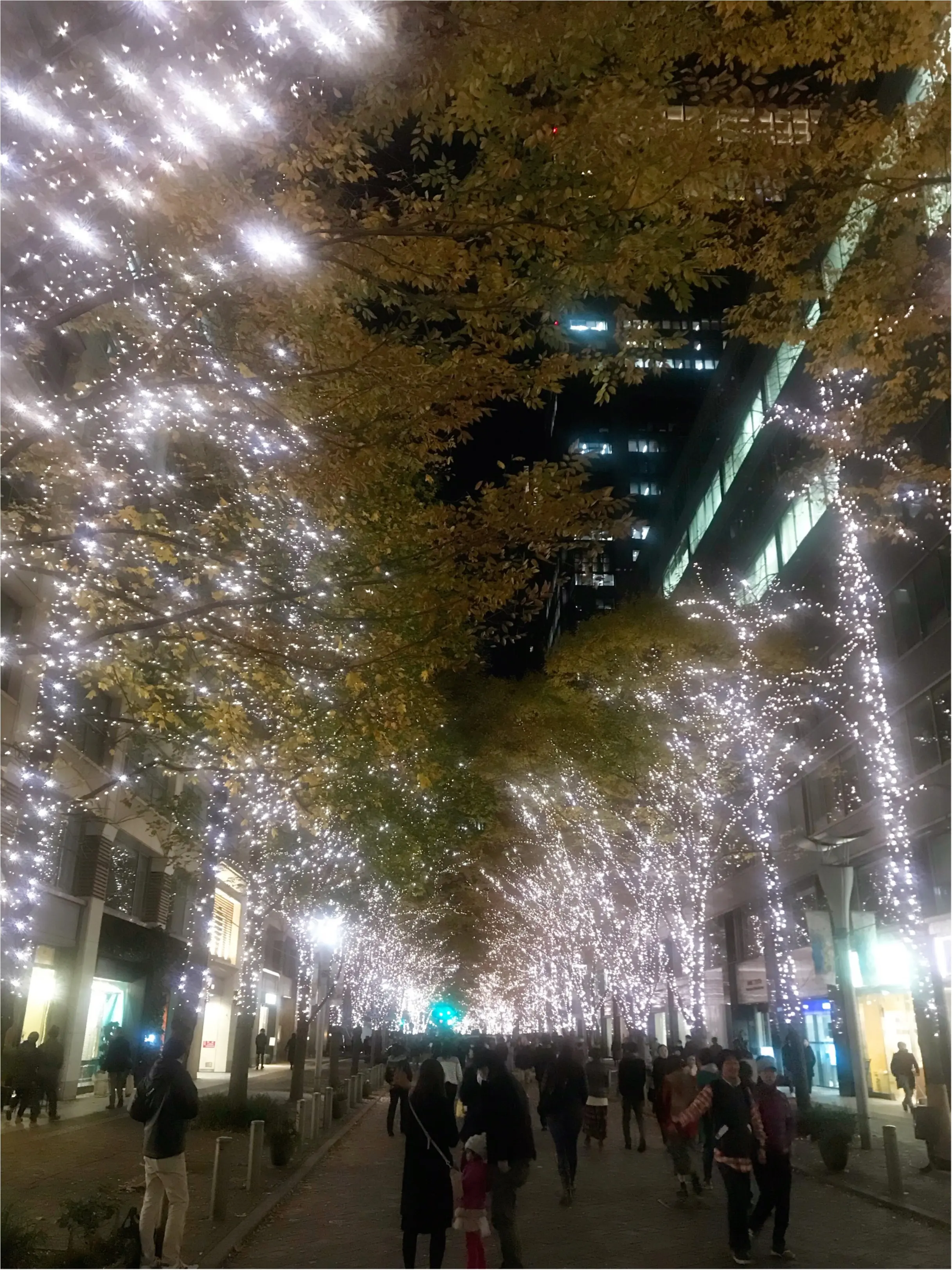 【イルミネーション】都内はそこらじゅうキラキラ✩✩これこそ冬の楽しみ!_1