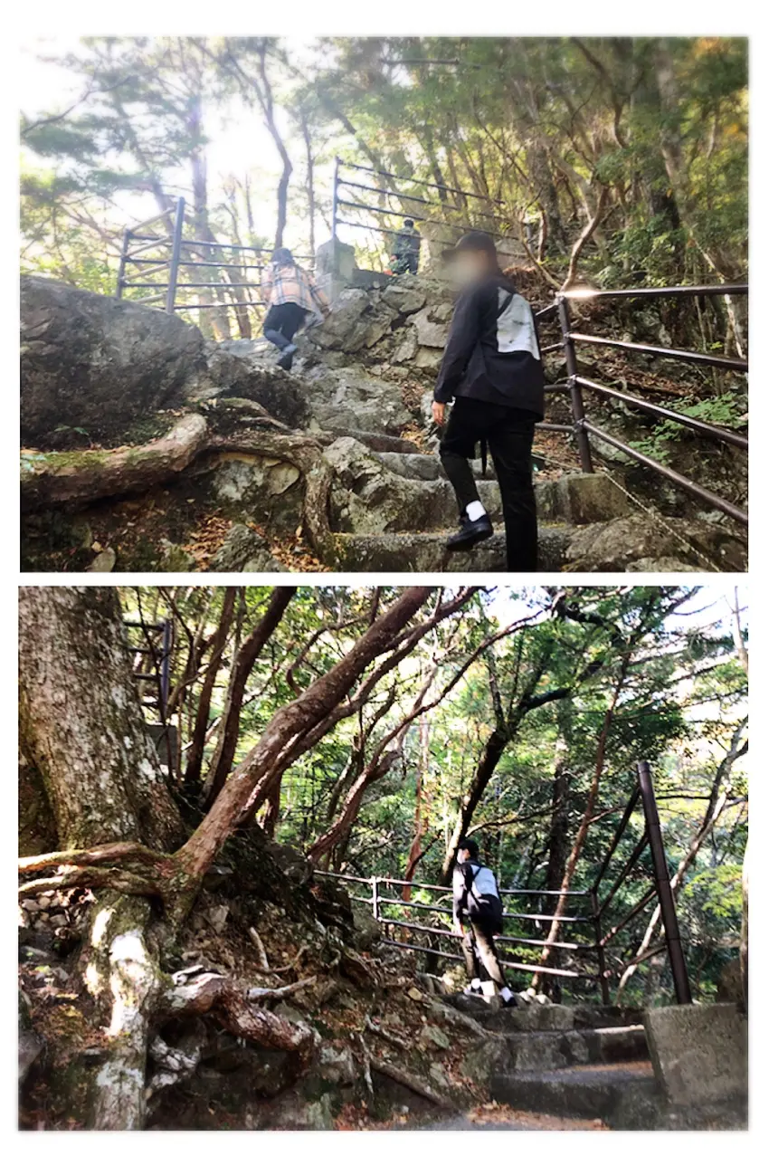 【#静岡】《夢の吊り橋×秋・紅葉》美しすぎるミルキーブルーの湖と紅葉のコントラストにうっとり♡湖上の吊り橋で空中散歩気分˚✧₊_9