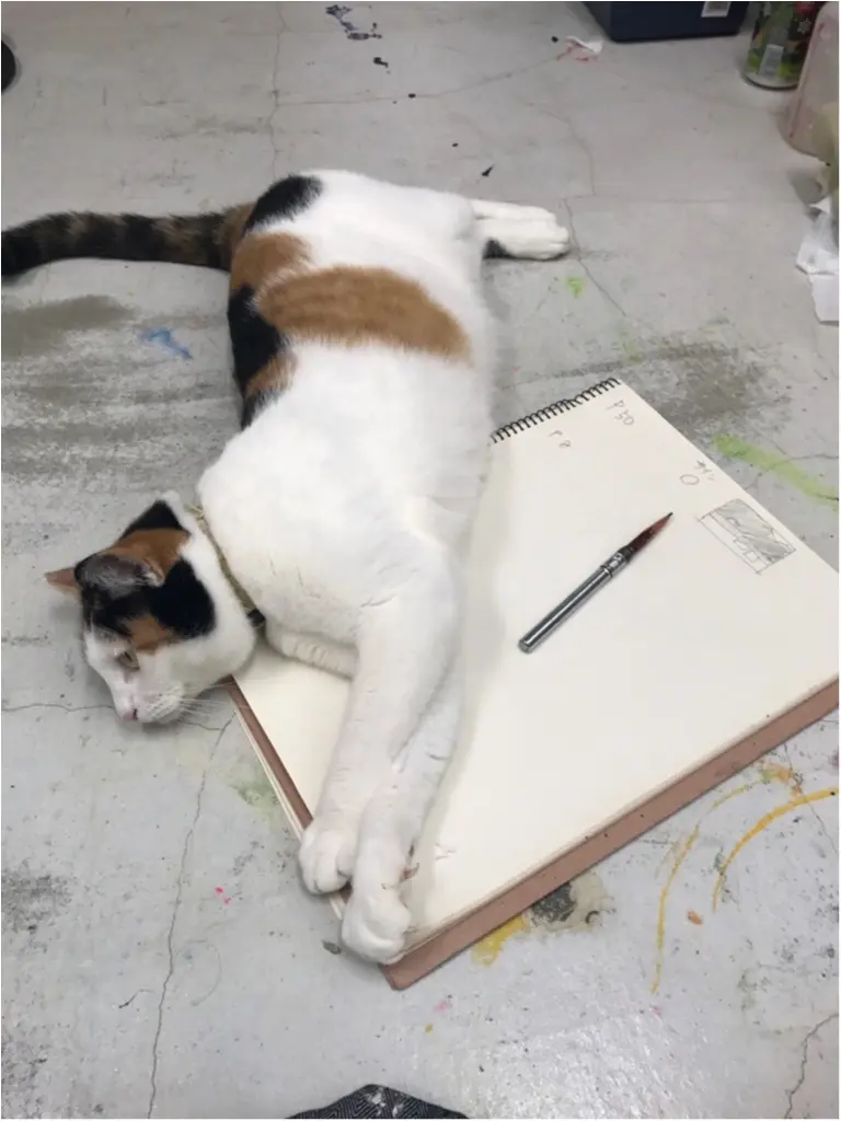 【今日のにゃんこ】ごろごろしようよー! ちよちゃんは、ママのお仕事をお邪魔_1