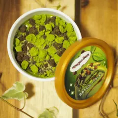【おすすめ抹茶スイーツ】ハーゲンダッツ新商品！Decorations『抹茶チョコレートクッキー』❤︎