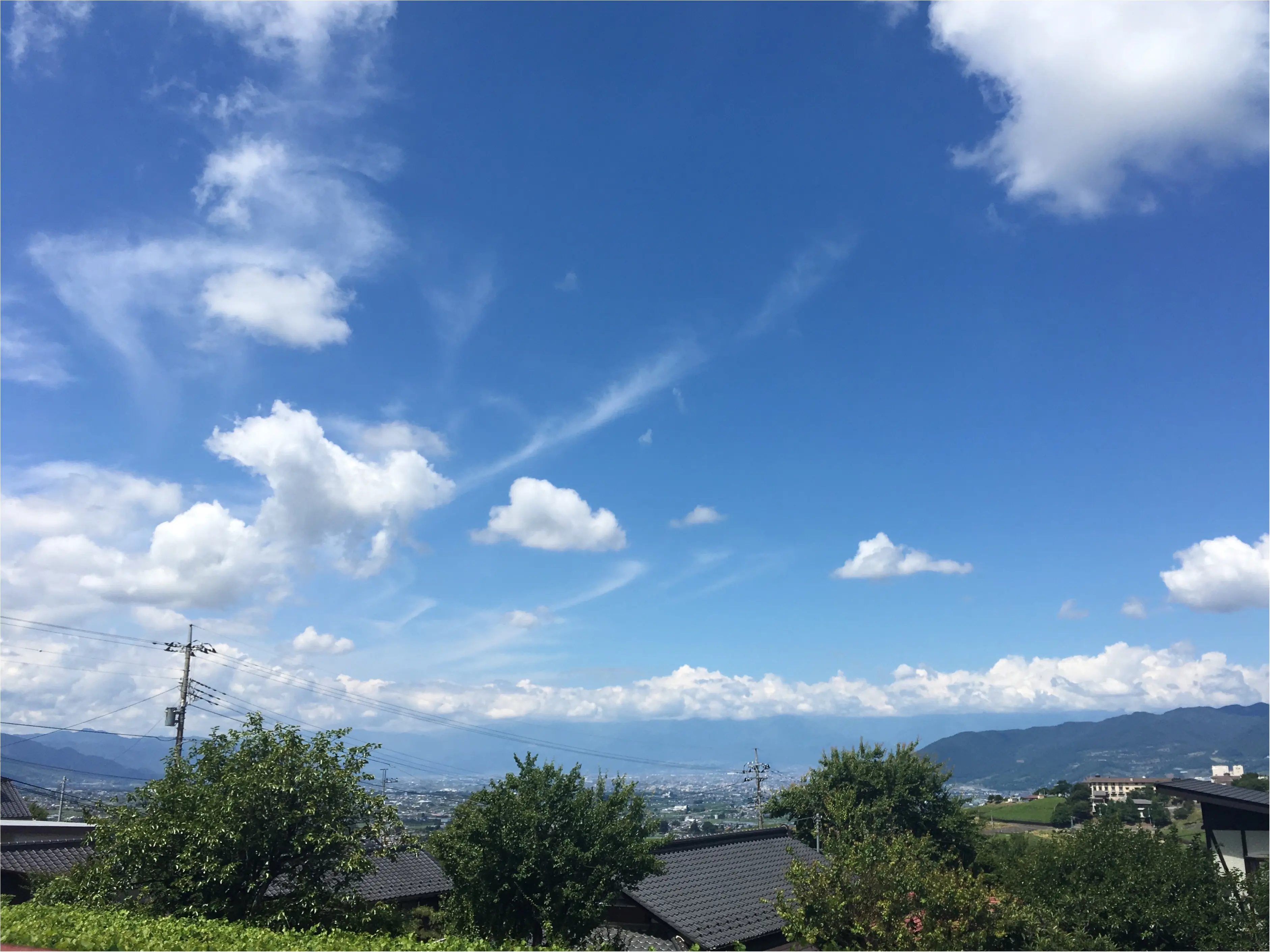 都内から1時間半で行けちゃう✰SNS映えするかわいいサクランボ✰オススメさくらんぼ狩りスポットとは・・_2