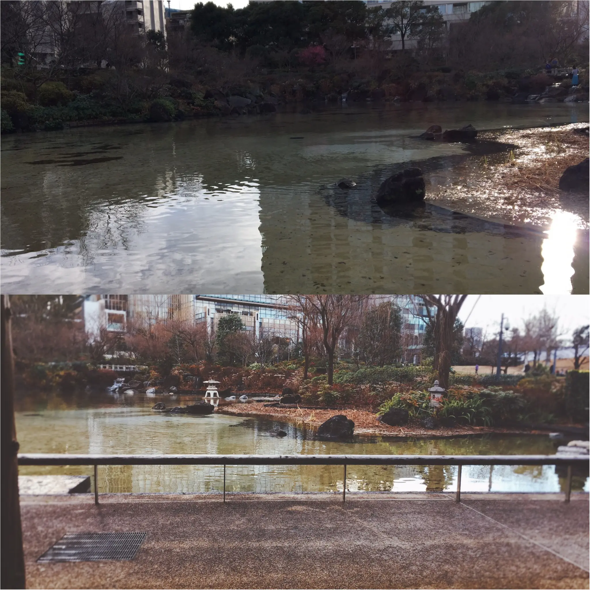 ★六本木で開催されている【デザイン解剖展】と女子力高めな【お洒落カフェ】♩本当は秘密にしたい穴場スポットも発見しました!♡_4