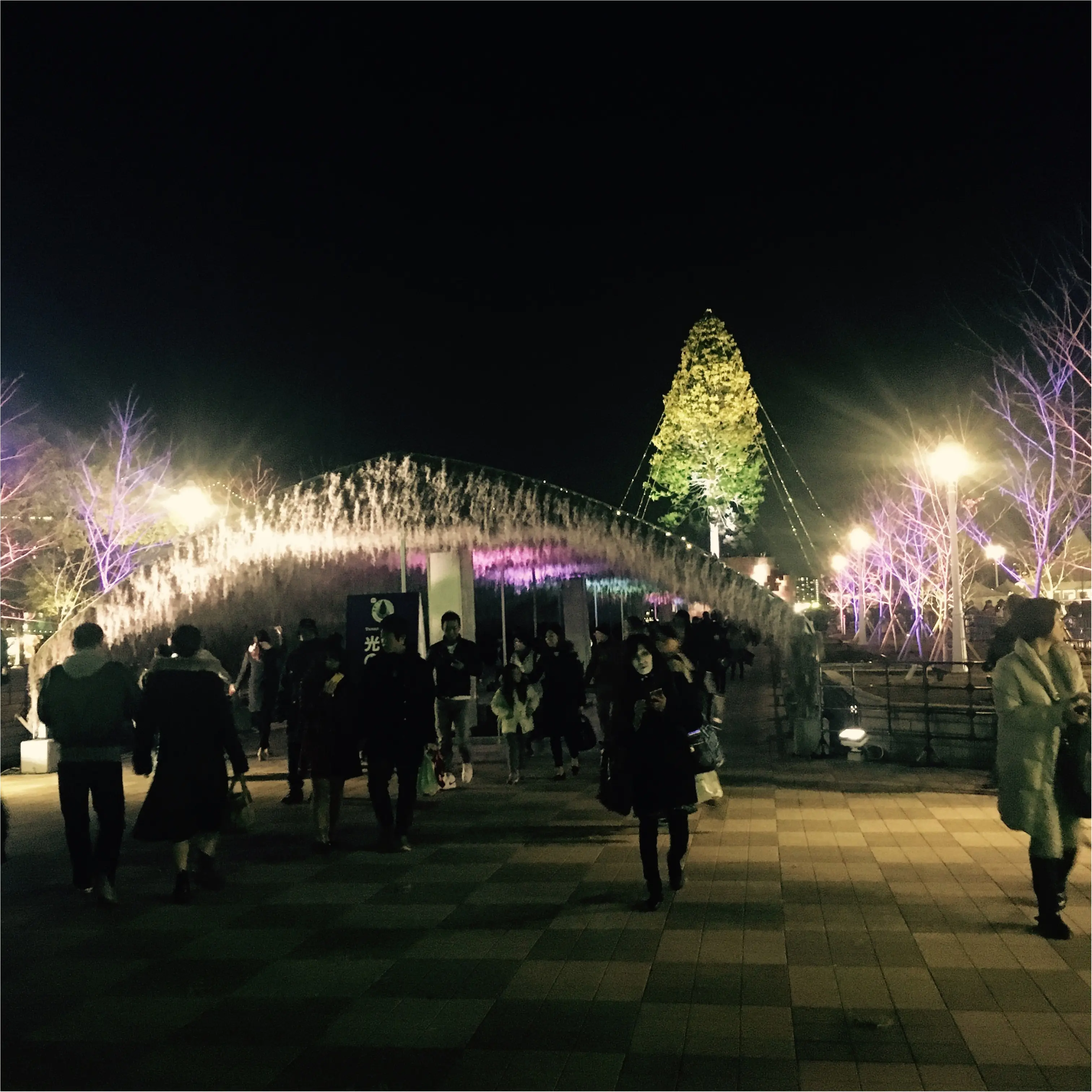 【神戸】で≪世界一高いクリスマスツリー≫が見れちゃうスポット!とってもオススメです!_4