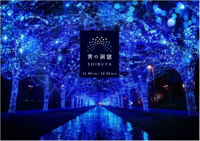 東京都内のおすすめイルミネーション、表参道、恵比寿、お台場etc.11選☆彡 記事Photo Gallery_1_11