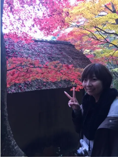 【関西おでかけ】のんびり散策できるオススメ紅葉スポット_1