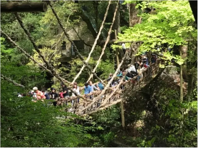 【一度は行きたい日本の絶景】徳島・祖谷のかずら橋_3