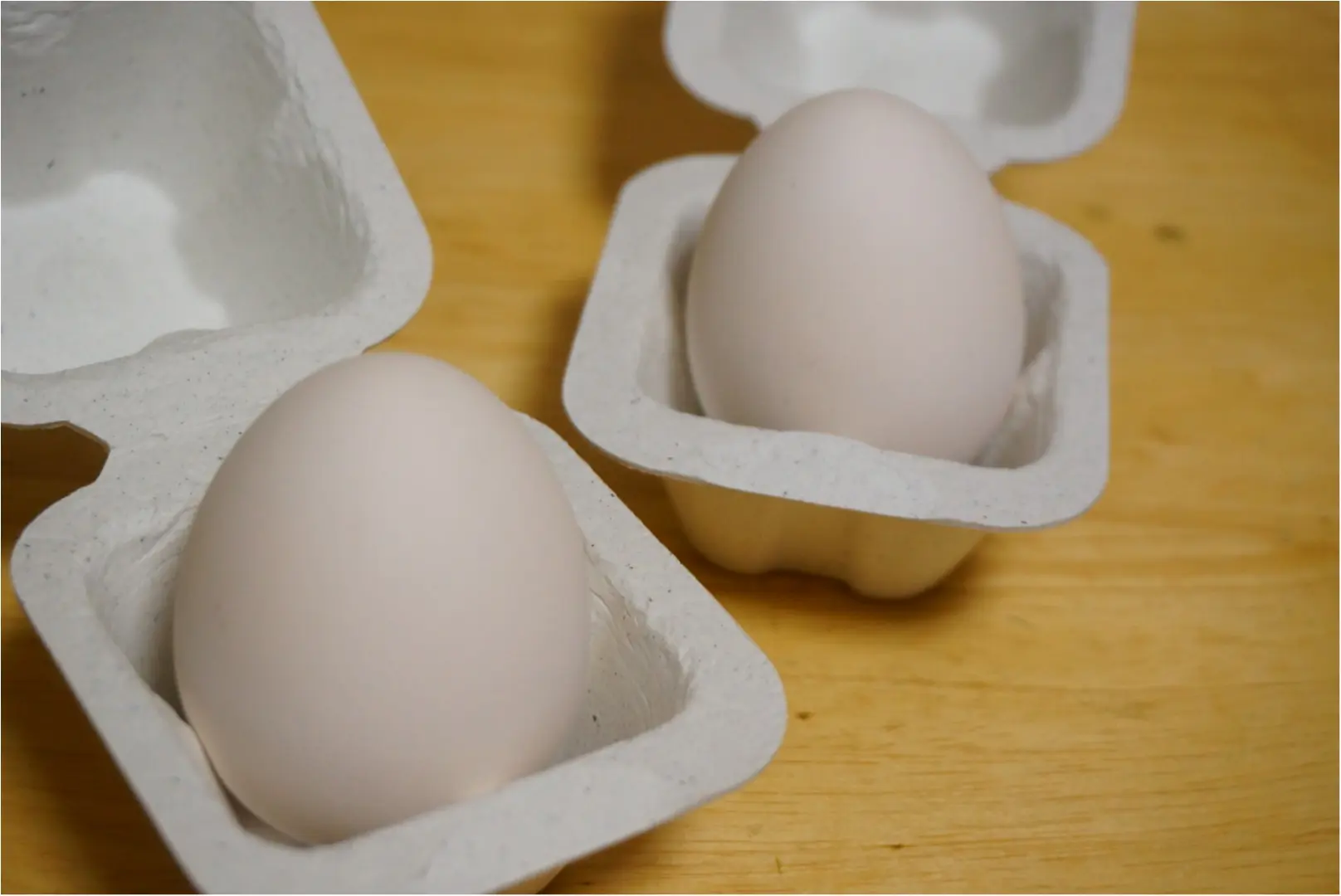 まるで本物のたまご⁉️egglingシリーズのワイルドストロベリーを育ててみよう( ´艸`)_4
