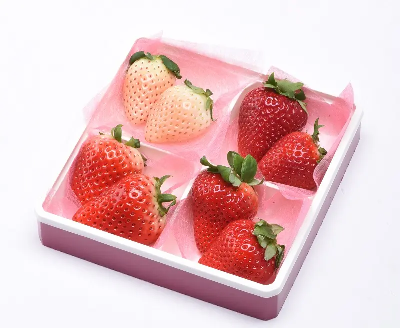 ブランドいちごの無料配布も!!「ヨコハマ ストロベリー フェスティバル 2019」に行かなくちゃ♡【 #いちご 17】_7