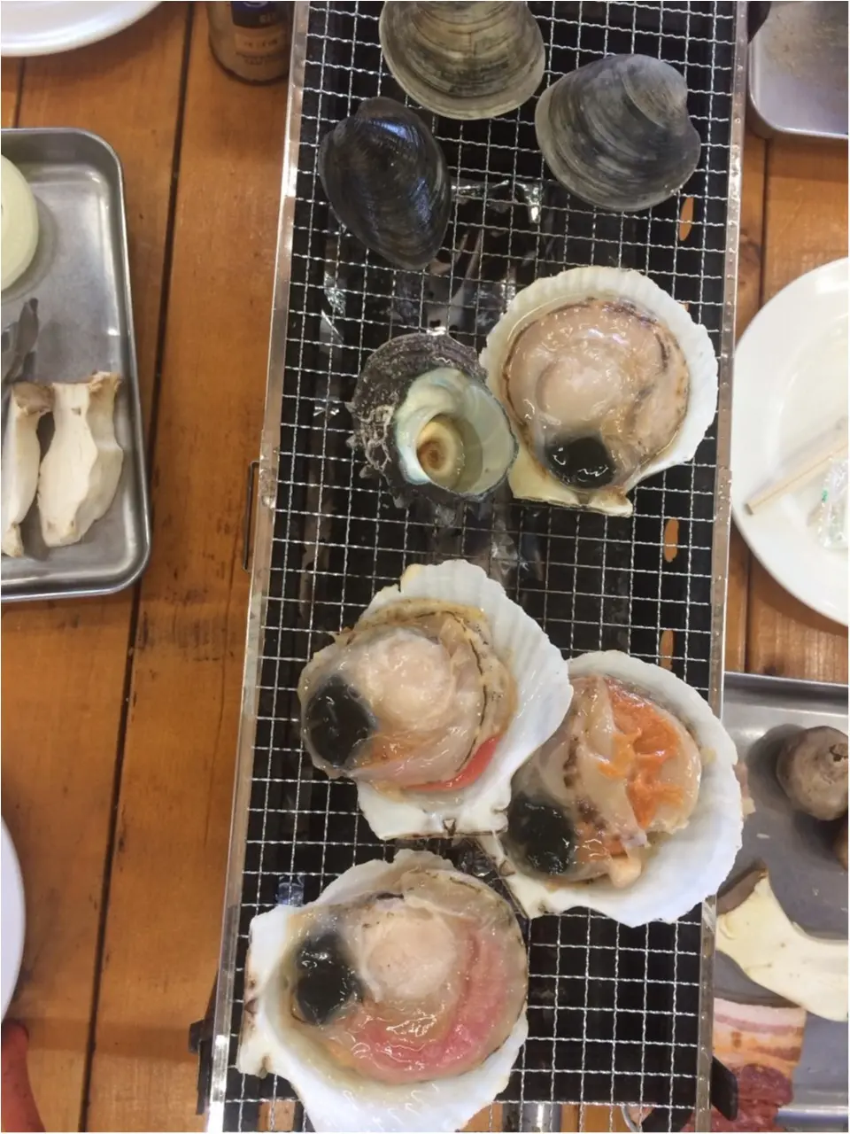 鴨川シーワールド♪_1