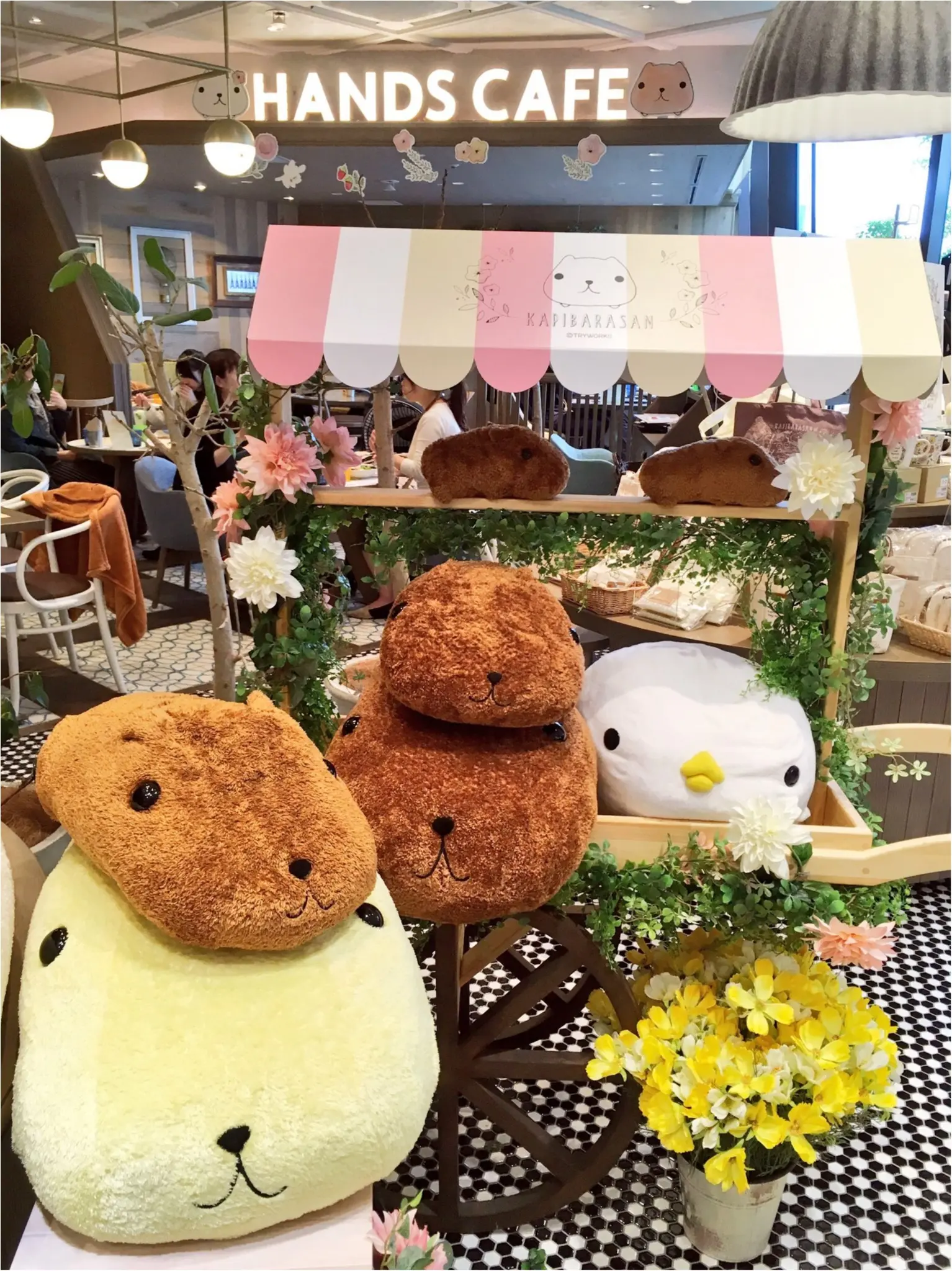 『KAPIBARASAN×HANDS CAFE』@東急表参道原宿店♡りぃイチオシメニューのご紹介(∗•ω•∗)♡_2