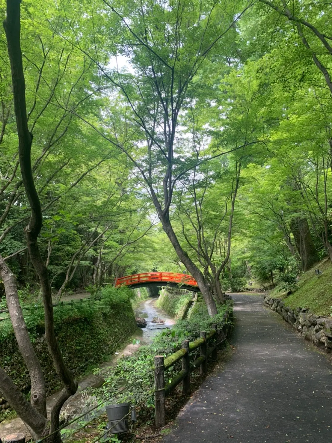 【京都旅第一弾】北野天満宮・龍安寺①_5