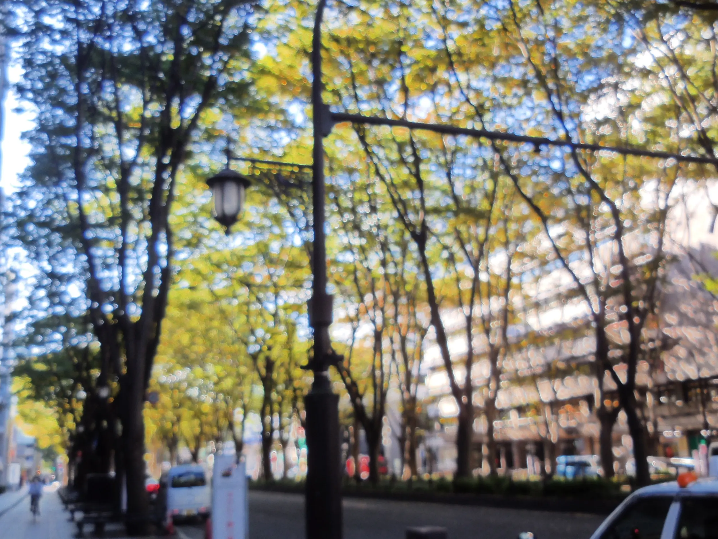 仙台に行ってきました。_5