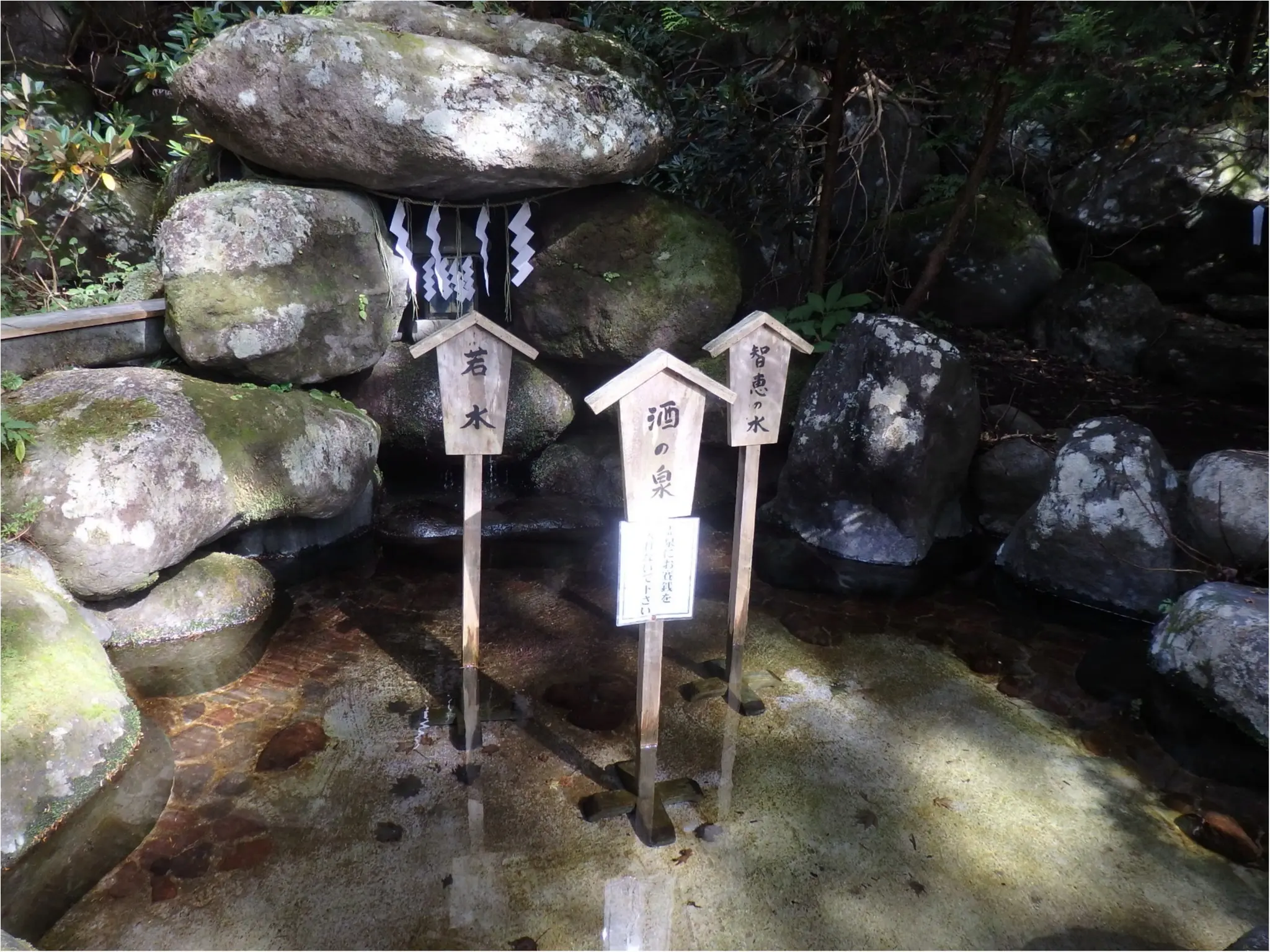 【知らなかった!】日本一楽しめる神社へ潜入してみた_42