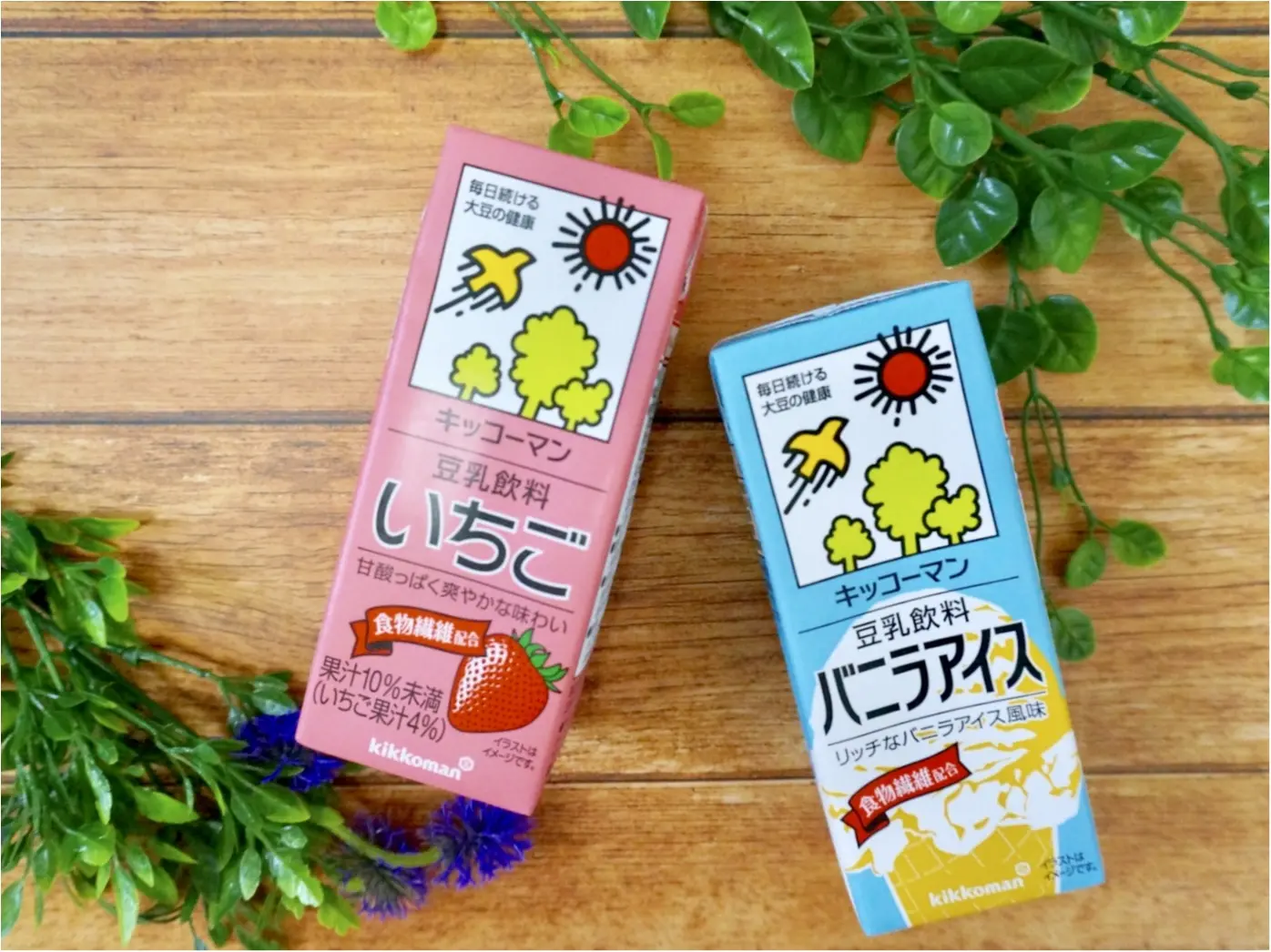 【Twitterで話題沸騰!】凍らせるだけの《豆乳アイス》が簡単なうえにヘルシーで絶品でした❤️_2