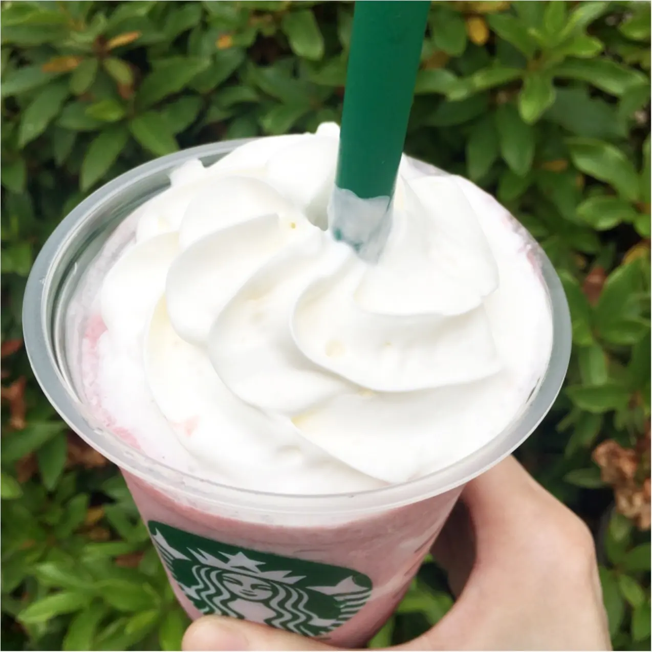 大人気!スターバックスのいちご♡ストロベリーディライトフラペチーノ_4