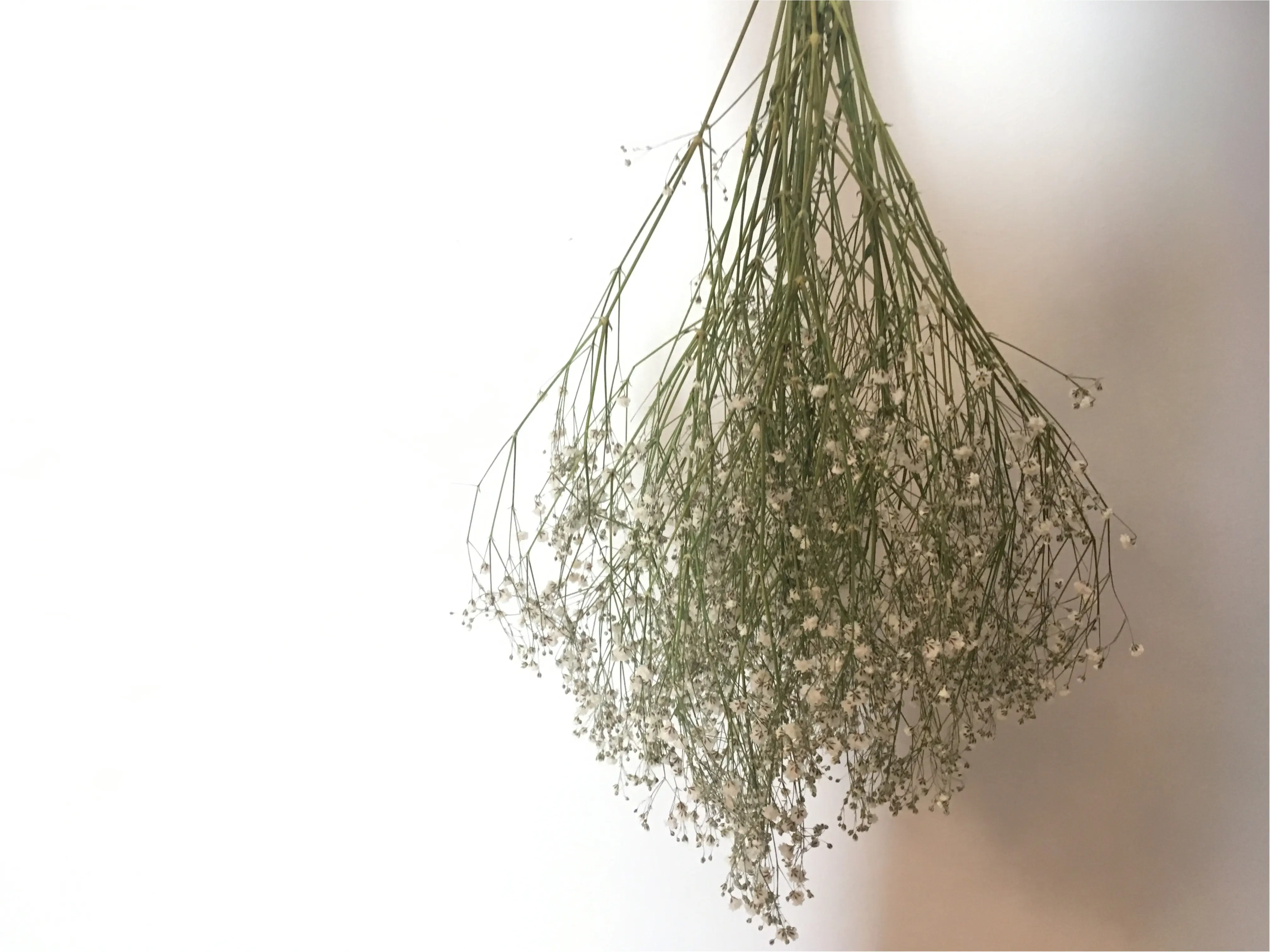 生花は飾るだけじゃもったいない!!生花→ドライフラワー→・・にもう一手間♡エルカフェの可愛すぎる空き瓶を使って永久保存♪_2