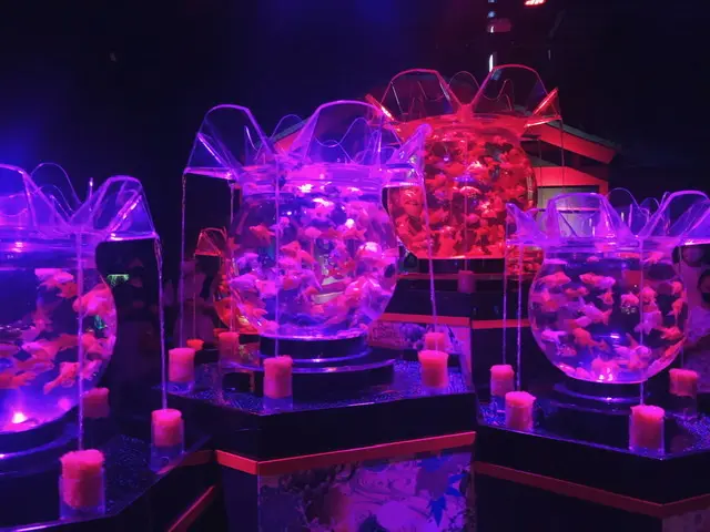 【都内お出かけ】チケット予約必須!第六感で楽しむ美術館♡パワーアップして帰ってきたアートアクアリウム2020♡_8
