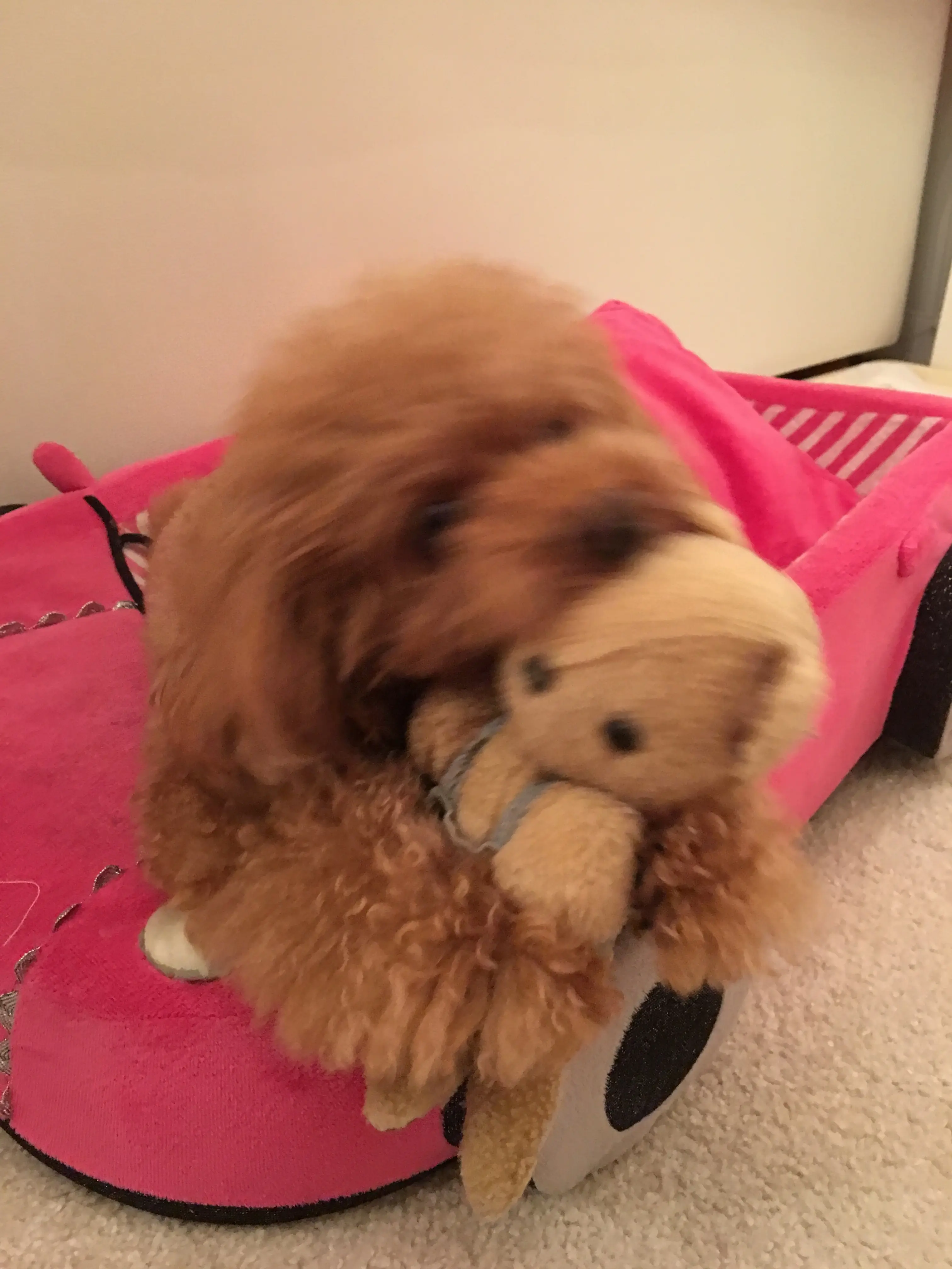 ♡ほのぼの癒しのまるこ♡モアハピ◡̈のぞみ♡_6