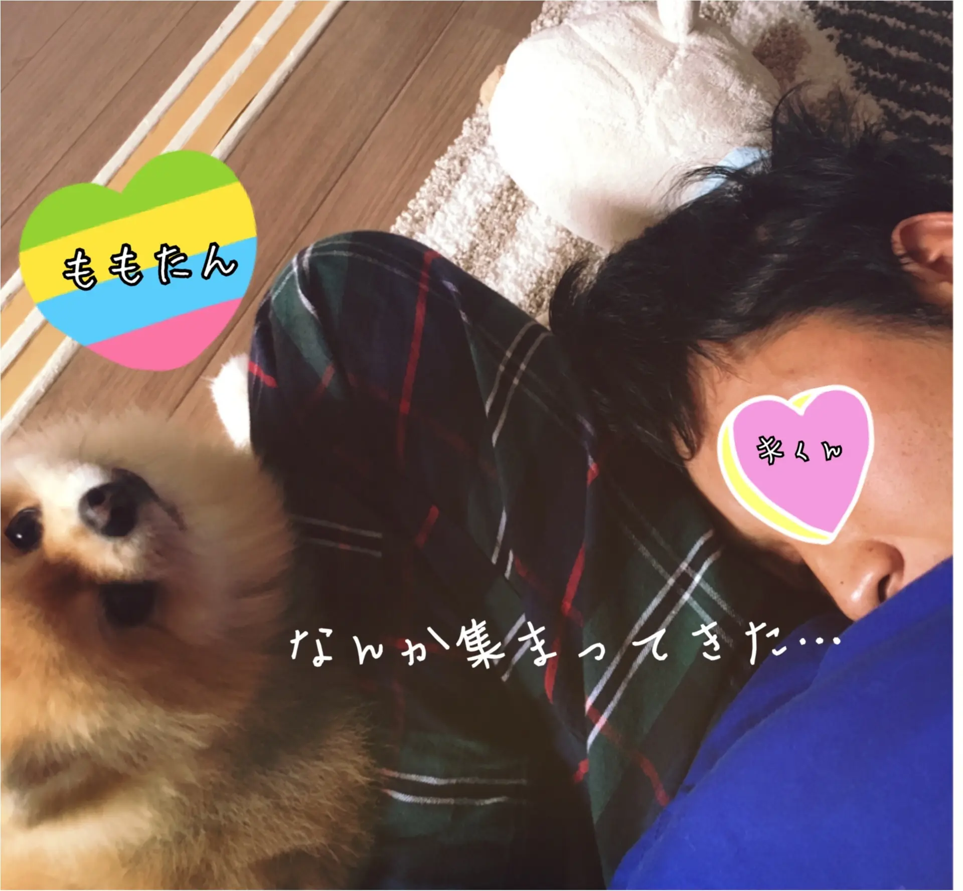 おさよ:癒される♡うちのももたん♡_3