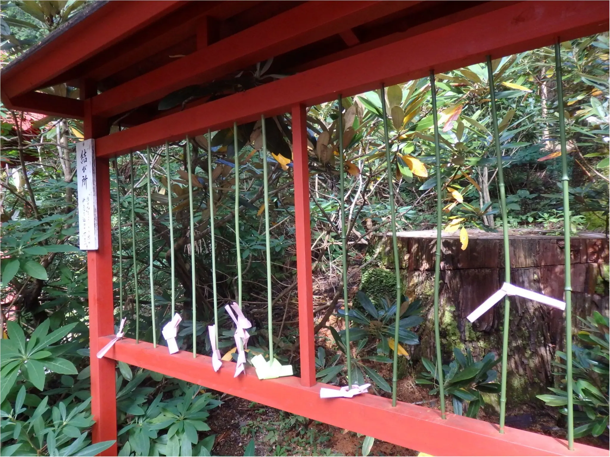 【知らなかった!】日本一楽しめる神社へ潜入してみた_36